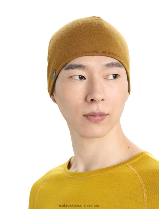 Icebreaker accesorii strălucire/cuișoare unisex beanie de buzunar din merino DL46T450