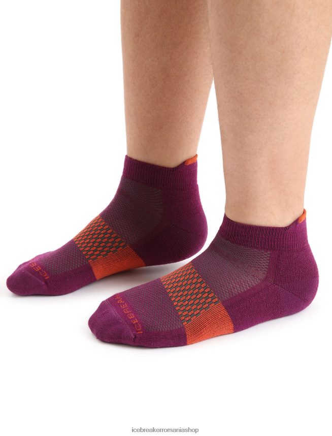 Icebreaker accesorii du-te boabe/pământ vibrant bărbați microșosete ușoare din merino multisport DL46T281