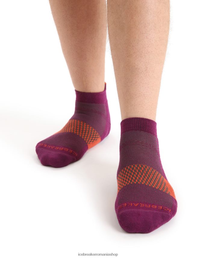 Icebreaker accesorii du-te boabe/pământ vibrant bărbați microșosete ușoare din merino multisport DL46T281