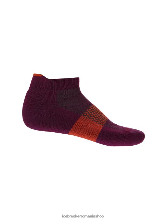 Icebreaker accesorii du-te boabe/pământ vibrant bărbați microșosete ușoare din merino multisport DL46T281