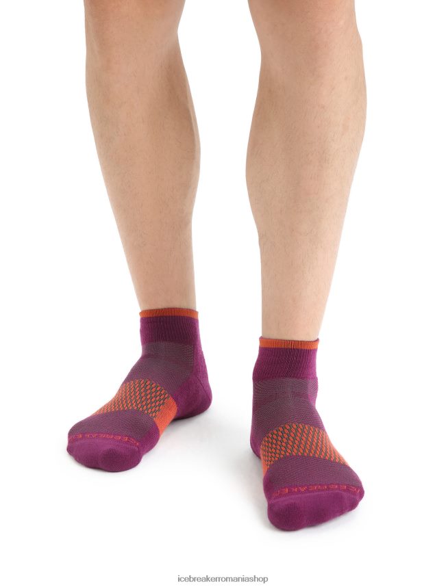 Icebreaker accesorii du-te boabe/pământ vibrant bărbați mini șosete ușoare din merino multisport DL46T292