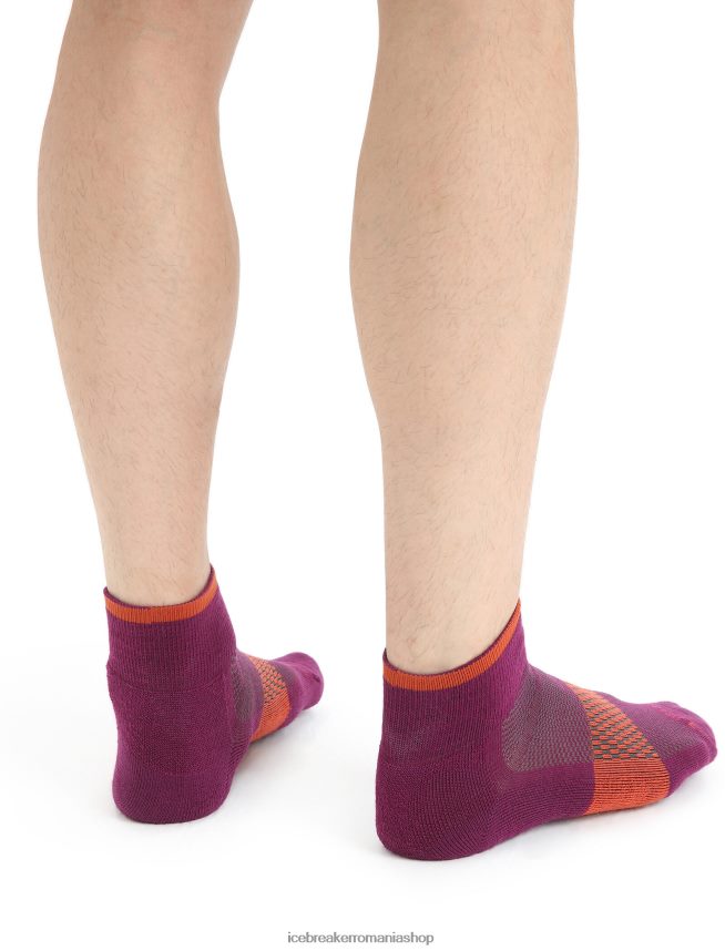 Icebreaker accesorii du-te boabe/pământ vibrant bărbați mini șosete ușoare din merino multisport DL46T292