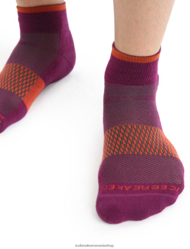 Icebreaker accesorii du-te boabe/pământ vibrant bărbați mini șosete ușoare din merino multisport DL46T292