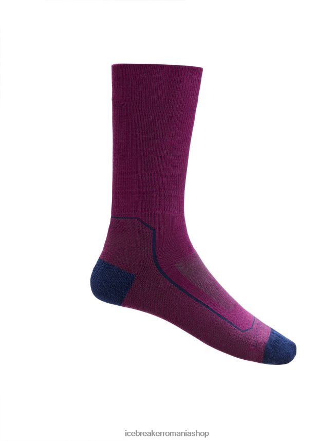 Icebreaker accesorii go berry/royal navy bărbați merino hike+ șosete crew ușoare DL46T275