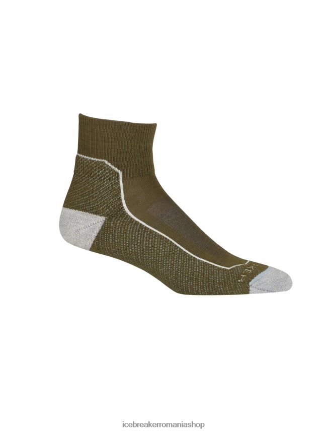 Icebreaker accesorii loden/viscol heather femei merino hike+ șosete mini ușoare DL46T755