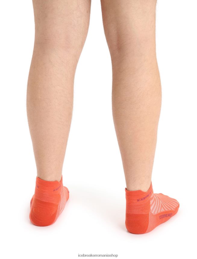 Icebreaker accesorii pământ vibrant heather/go berry bărbați merino run+ micro șosete ultraușoare DL46T266