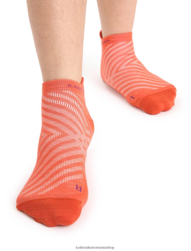 Icebreaker accesorii pământ vibrant heather/go berry bărbați merino run+ micro șosete ultraușoare DL46T266