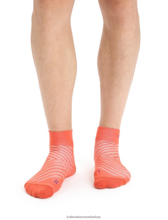 Icebreaker accesorii pământ vibrant heather/go berry bărbați merino run+ mini șosete ultraușoare DL46T278