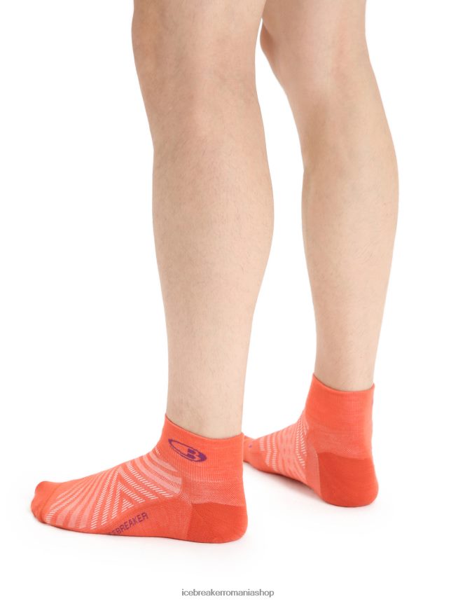 Icebreaker accesorii pământ vibrant heather/go berry bărbați merino run+ mini șosete ultraușoare DL46T278