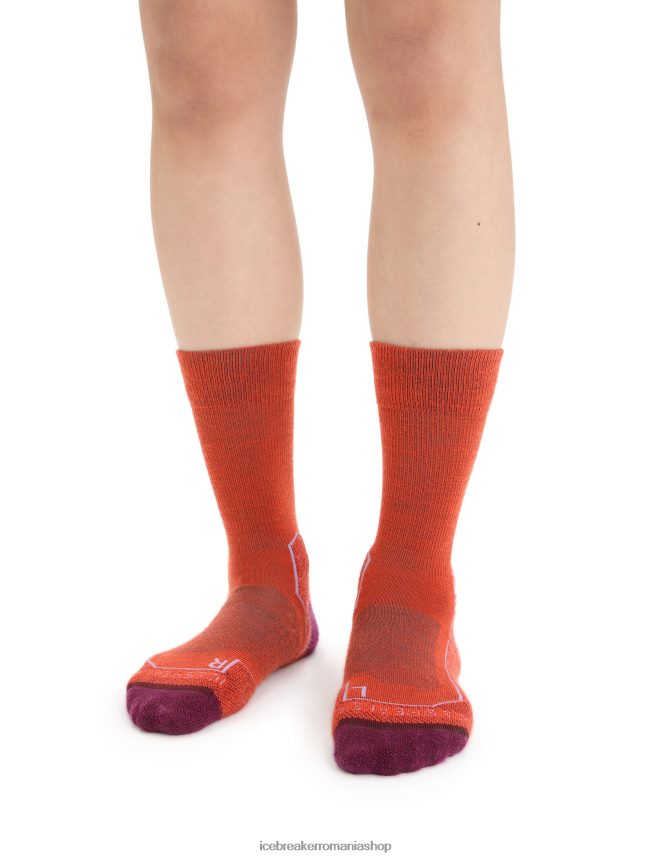 Icebreaker accesorii pământ vibrant heather/go berry femei merino hike+ șosete crew ușoare DL46T784