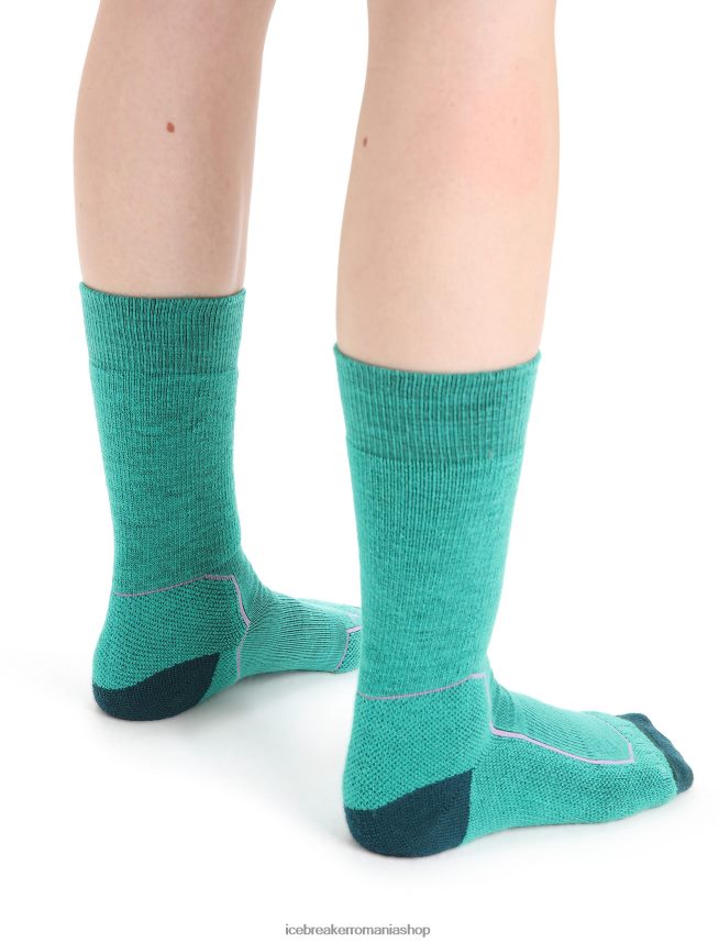 Icebreaker accesorii proaspăt/verde glorie femei merino hike+ șosete medii pentru echipaj DL46T764