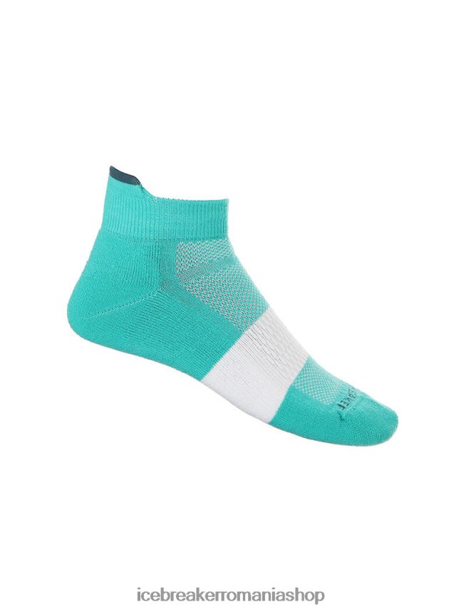 Icebreaker accesorii proaspăt/verde glorie femei microșosete ușoare din merino multisport DL46T761