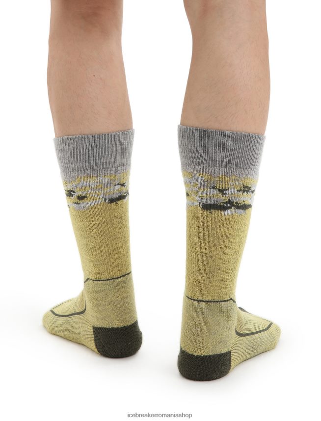 Icebreaker accesorii vara/loden bărbați merino hike+ șosete medii pentru echipaj sedimentari DL46T286