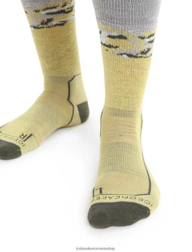 Icebreaker accesorii vara/loden bărbați merino hike+ șosete medii pentru echipaj sedimentari DL46T286