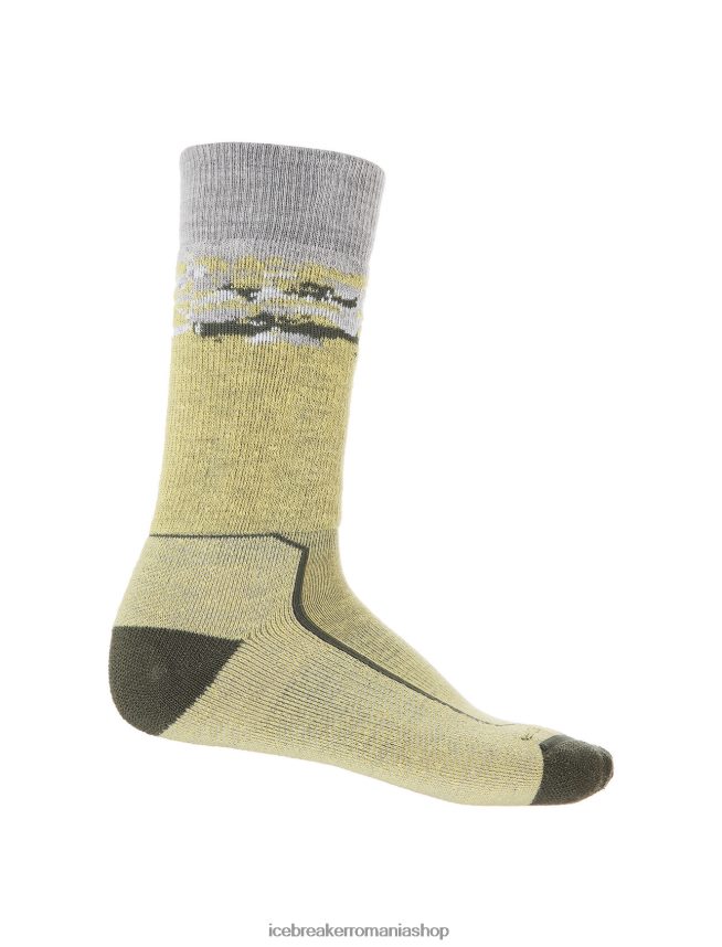 Icebreaker accesorii vara/loden bărbați merino hike+ șosete medii pentru echipaj sedimentari DL46T286