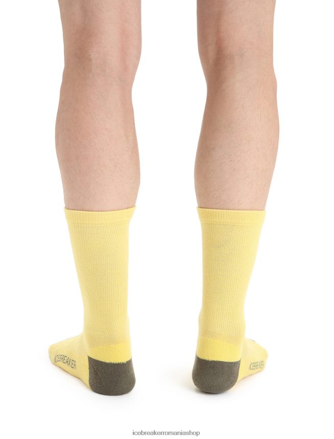 Icebreaker accesorii vara/loden bărbați șosete merino lifestyle light crew DL46T295