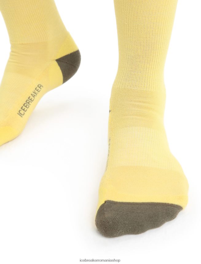 Icebreaker accesorii vara/loden bărbați șosete merino lifestyle light crew DL46T295