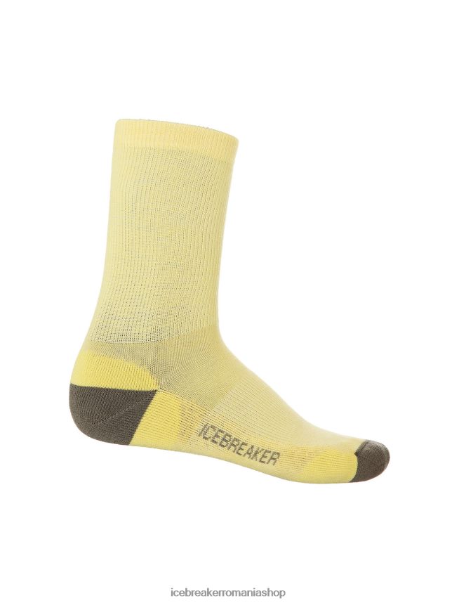 Icebreaker accesorii vara/loden bărbați șosete merino lifestyle light crew DL46T295