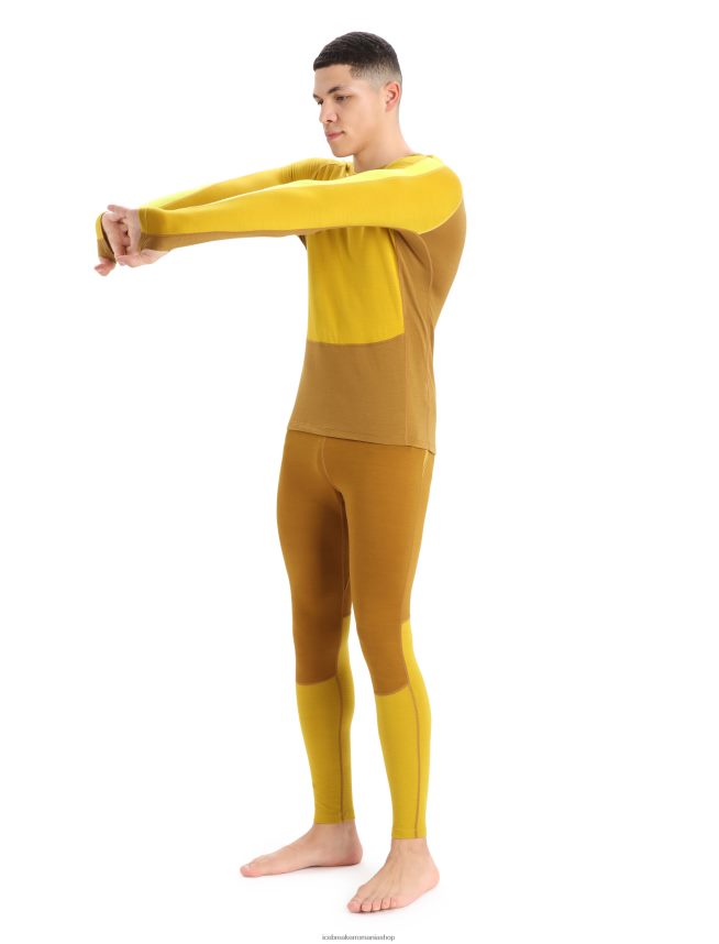 Icebreaker îmbrăcăminte aur tăcut/cuișoare bărbați Top termic cu mânecă lungă din merino din 200 zoneknit DL46T410