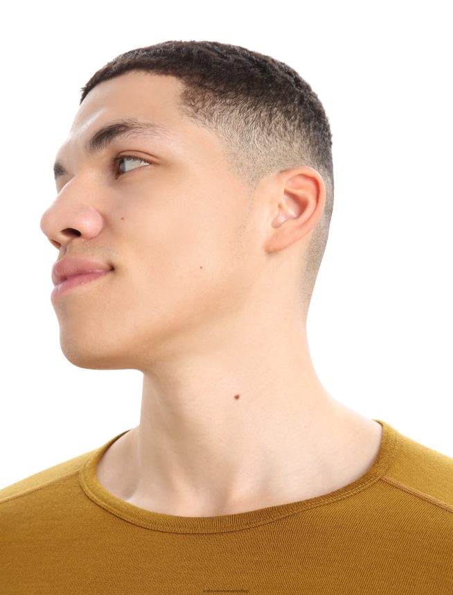 Icebreaker îmbrăcăminte cuișoare bărbați Top termic cu mânecă lungă merino 260 tech DL46T429