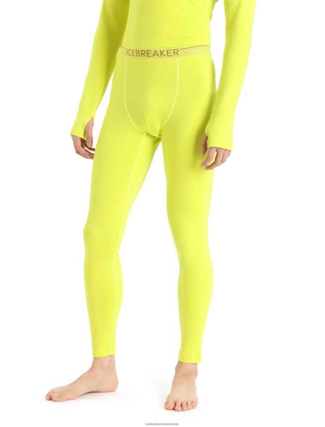 Icebreaker îmbrăcăminte strălucire bărbați 300 de jambiere termice merinofine DL46T441