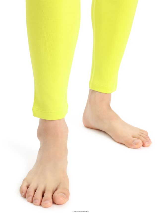 Icebreaker îmbrăcăminte strălucire bărbați 300 de jambiere termice merinofine DL46T441