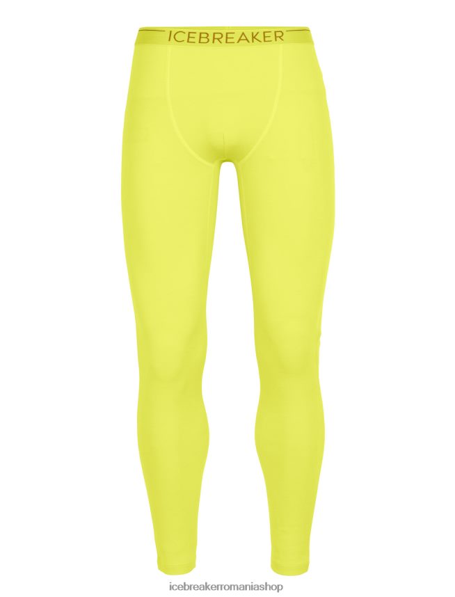 Icebreaker îmbrăcăminte strălucire bărbați 300 de jambiere termice merinofine DL46T441