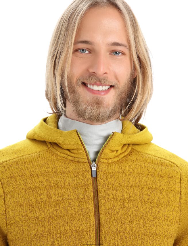 Icebreaker îmbrăcăminte cuișoare/aur tăcut bărbați hanorac izolat cu mânecă lungă cu fermoar din merino zoneknit în adâncime DL46T404