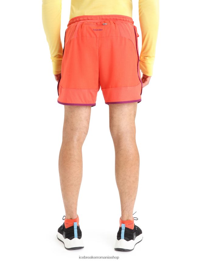 Icebreaker îmbrăcăminte pământ vibrant heather/go berry bărbați pantaloni scurți din merino zoneknit DL46T250