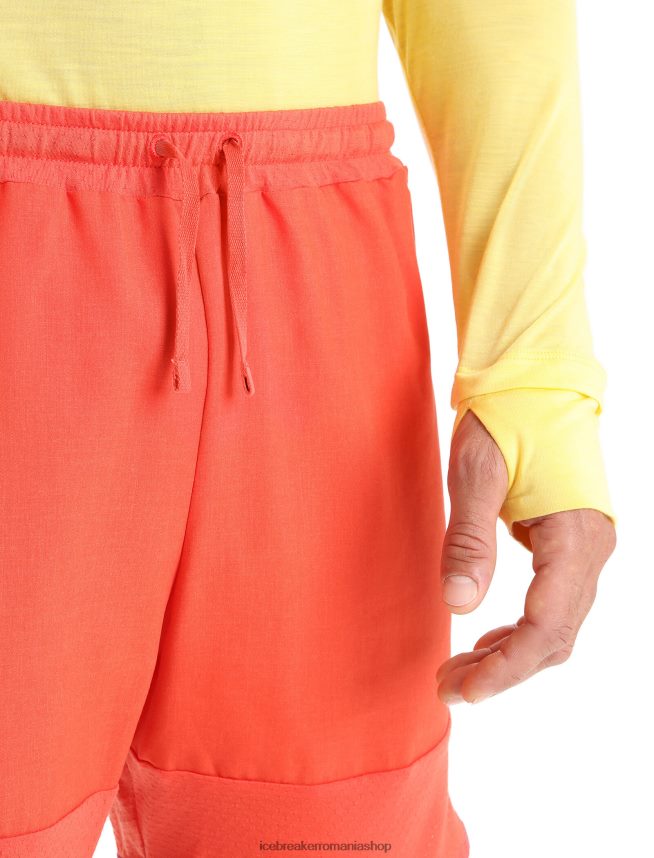 Icebreaker îmbrăcăminte pământ vibrant heather/go berry bărbați pantaloni scurți din merino zoneknit DL46T250