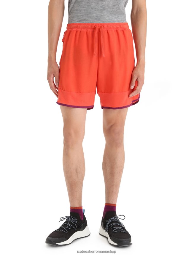 Icebreaker îmbrăcăminte pământ vibrant heather/go berry bărbați pantaloni scurți din merino zoneknit DL46T250