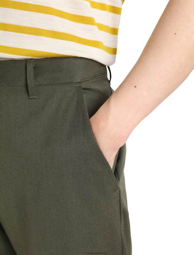 Icebreaker îmbrăcăminte loden bărbați pantaloni merino berlin DL46T351