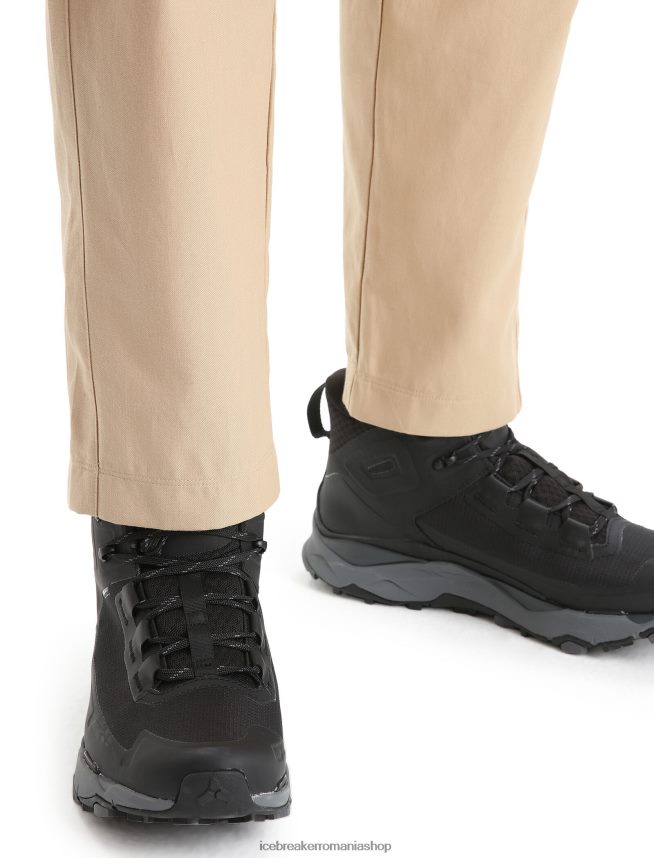 Icebreaker îmbrăcăminte nisip bărbați pantaloni de drumeție merinos DL46T253