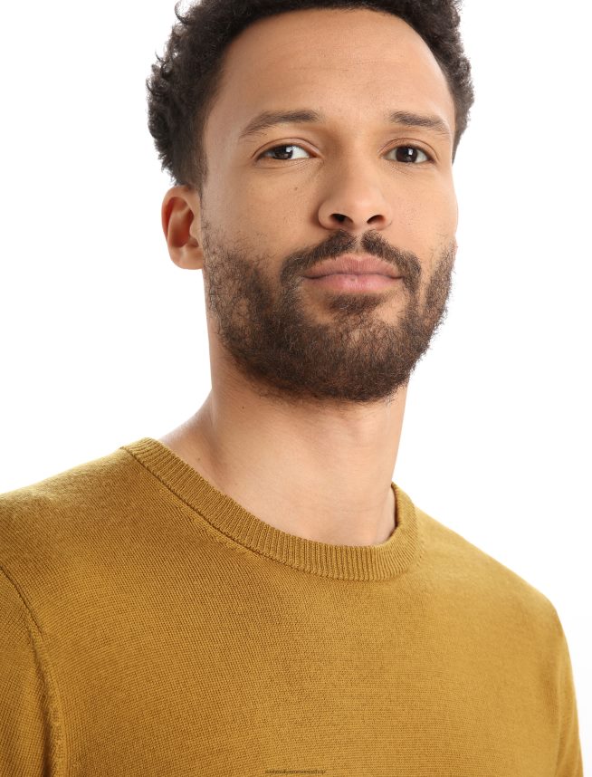 Icebreaker îmbrăcăminte cuișoare bărbați pulover merino shearer crewe DL46T352