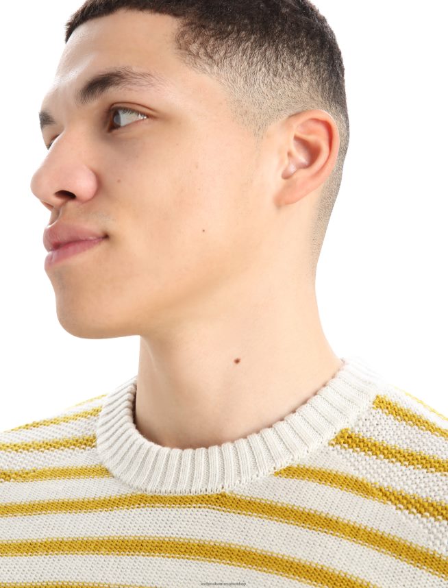 Icebreaker îmbrăcăminte ecru erica/aur tăcut bărbați pulover merino waypoint crewe DL46T391