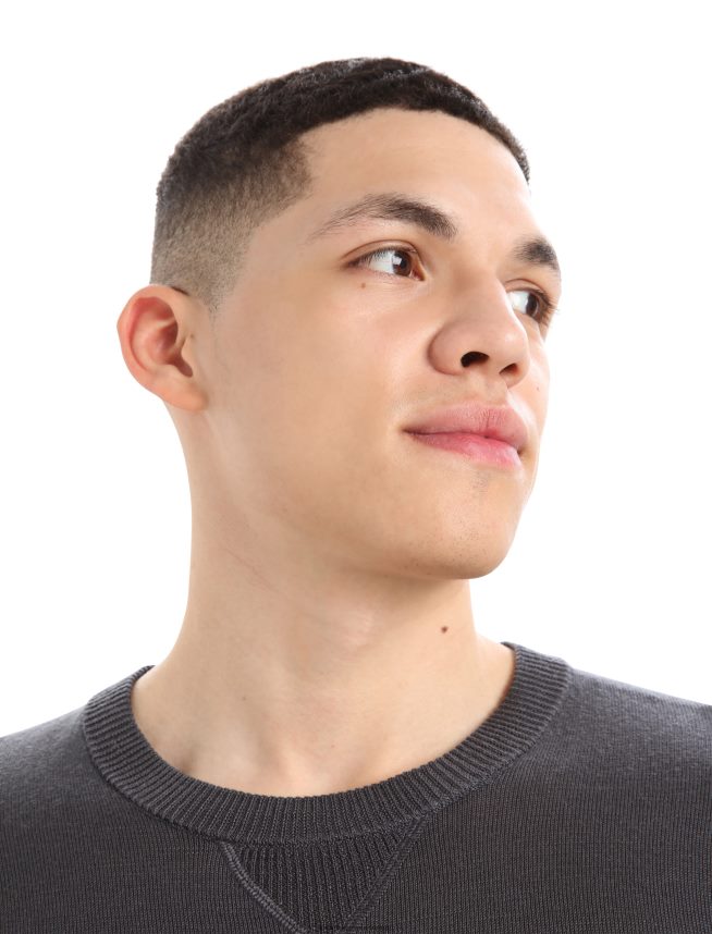 Icebreaker îmbrăcăminte muson bărbați hanorac cool-lite merino nova pulover DL46T425