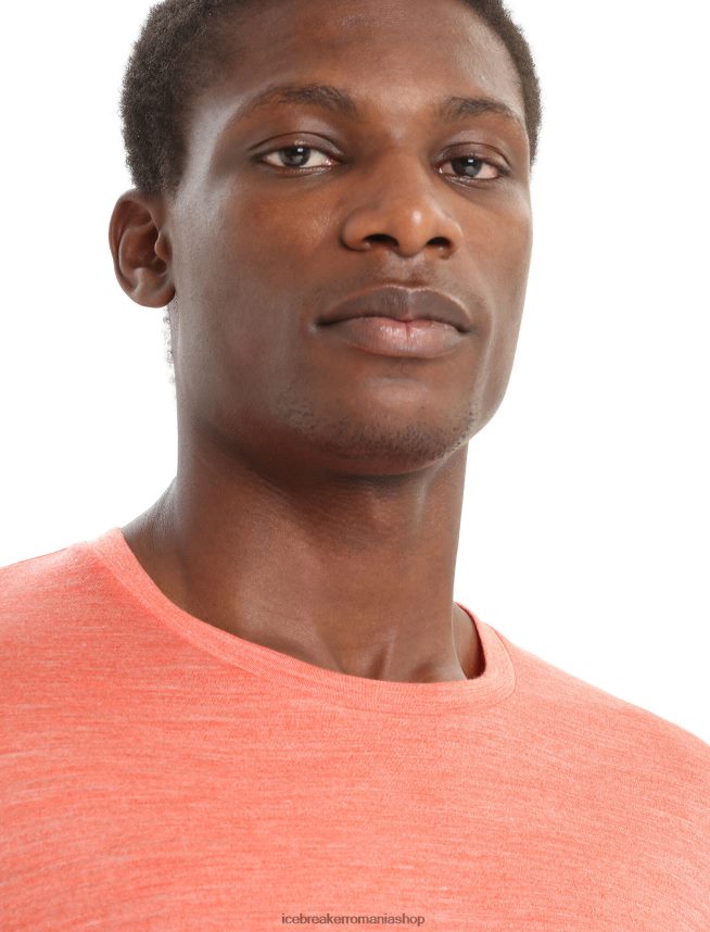 Icebreaker îmbrăcăminte erica pământească vibrantă bărbați tricou cu mânecă lungă merino sphere ii DL46T189