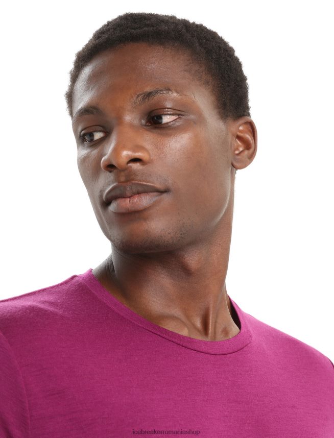 Icebreaker îmbrăcăminte du-te boabe bărbați tricou cu mânecă scurtă merino tech lite ii DL46T28