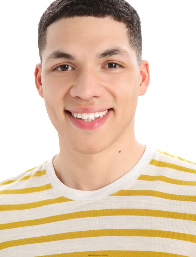 Icebreaker îmbrăcăminte ecru erica/aur tăcut bărbați tricou cu mânecă scurtă merino drayden dungă DL46T396