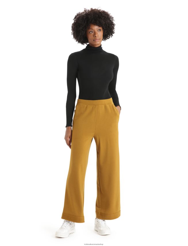 Icebreaker îmbrăcăminte negru femei Body Merino Queens cu mânecă lungă și cu gât înalt DL46T543