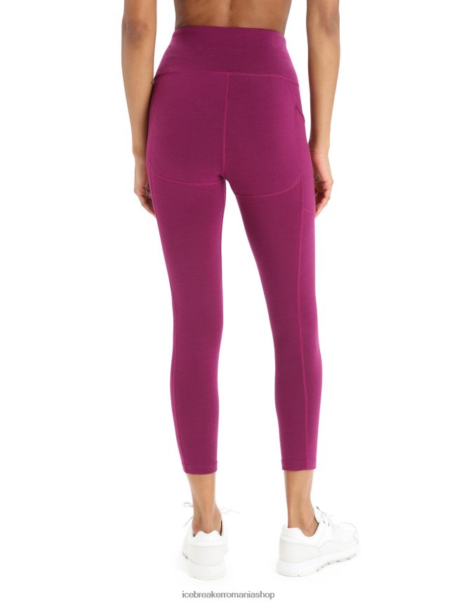 Icebreaker îmbrăcăminte du-te boabe femei colanti cu talie mare din merino fastray DL46T734