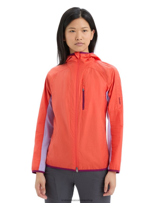 Icebreaker îmbrăcăminte privire vibrantă pământ/violet femei shell+ jacket din bumbac merinos DL46T680