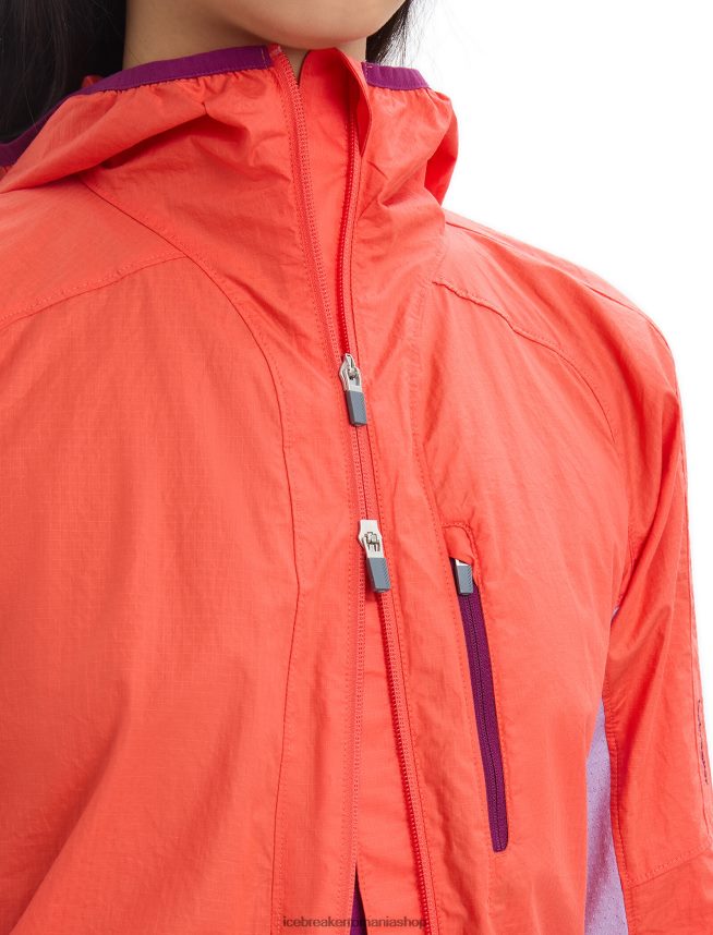 Icebreaker îmbrăcăminte privire vibrantă pământ/violet femei shell+ jacket din bumbac merinos DL46T680