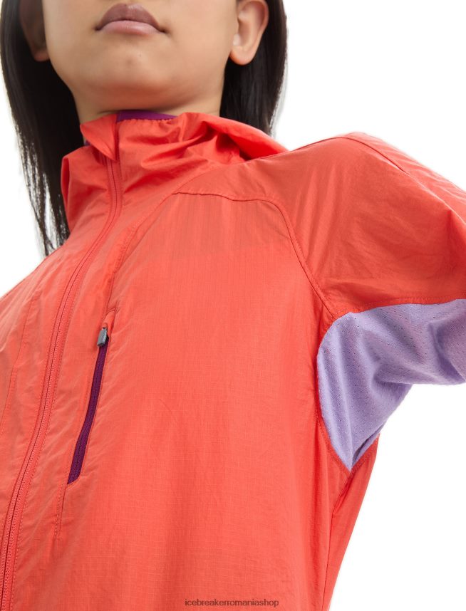 Icebreaker îmbrăcăminte privire vibrantă pământ/violet femei shell+ jacket din bumbac merinos DL46T680
