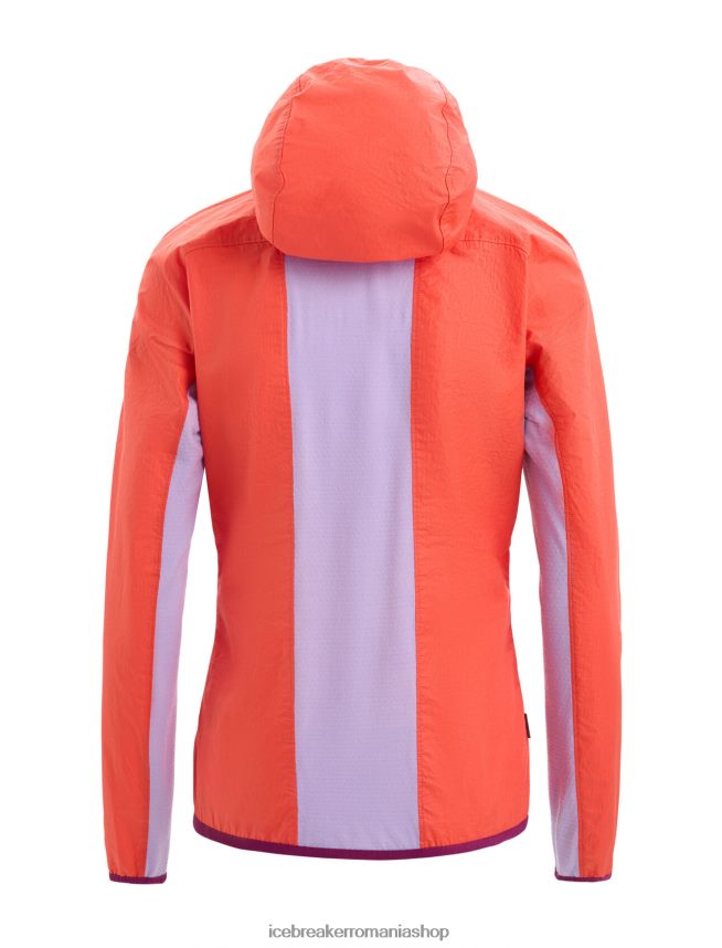 Icebreaker îmbrăcăminte privire vibrantă pământ/violet femei shell+ jacket din bumbac merinos DL46T680