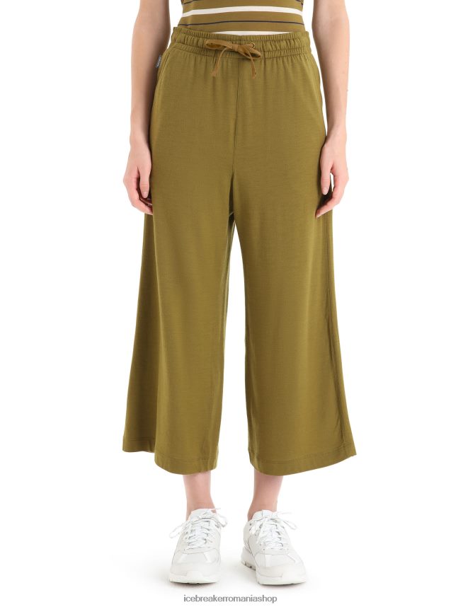 Icebreaker îmbrăcăminte alge femei culottes merinos granar DL46T735