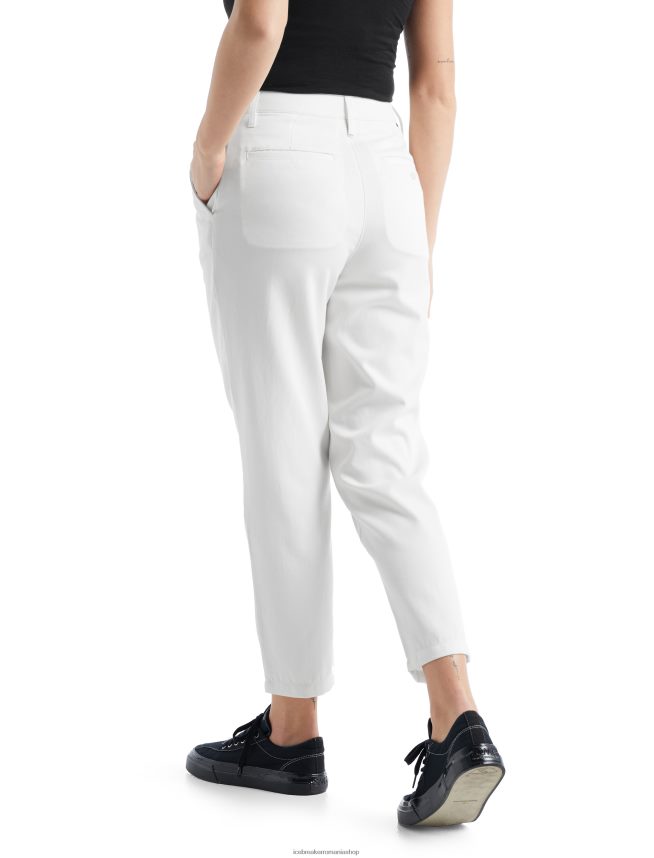 Icebreaker îmbrăcăminte zăpadă femei pantaloni merino berlin DL46T895