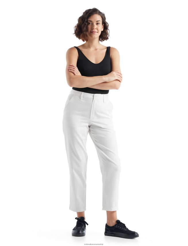 Icebreaker îmbrăcăminte zăpadă femei pantaloni merino berlin DL46T895