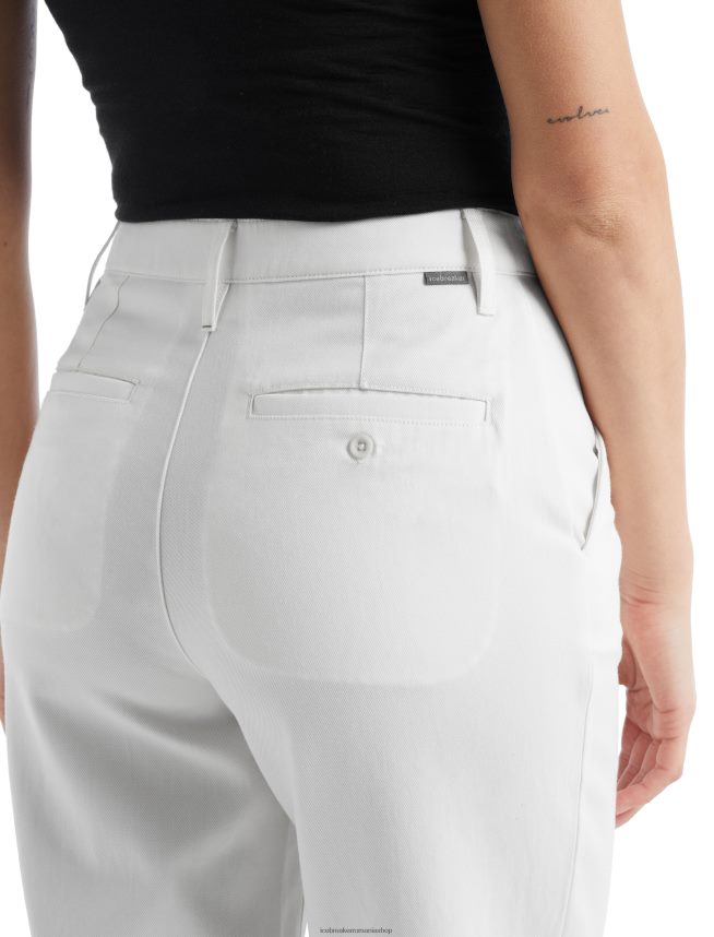 Icebreaker îmbrăcăminte zăpadă femei pantaloni merino berlin DL46T895