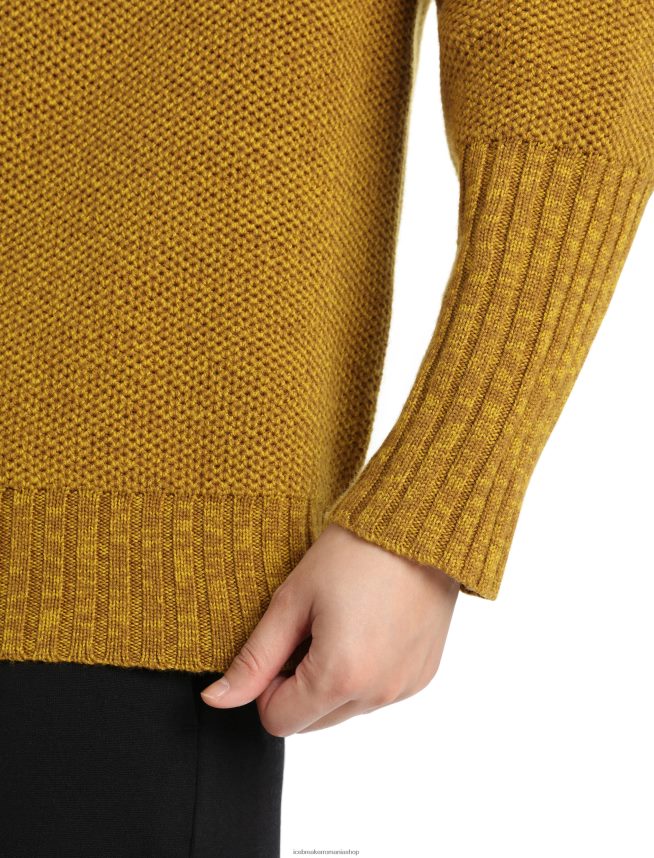 Icebreaker îmbrăcăminte cuișoare/aur tăcut femei pulover merino seevista cu gât pâlnie DL46T908